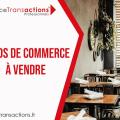 Fonds de commerce café hôtel restaurant à acheter à Fenouillet - 31150 photo - 1