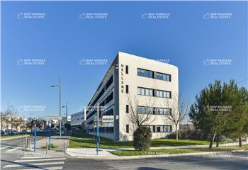 Location bureau Montpellier (34000) - 509 m² à Montpellier - 34000