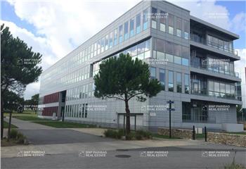 Location bureau Saint-Herblain (44800) - 524 m² à Saint-Herblain - 44800