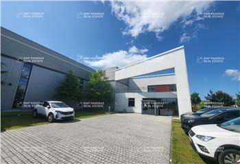 Location activité/entrepôt Bailly-Romainvilliers (77700) - 3300 m² à Bailly-Romainvilliers - 77700