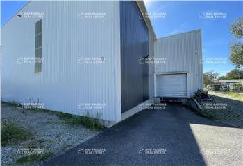 Location activité/entrepôt Bischheim (67800) - 1500 m² à Bischheim - 67800
