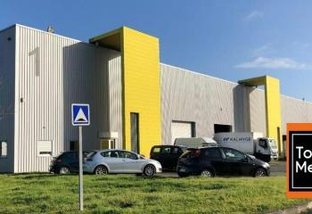 Location activité/entrepôt Blanquefort (33290) - 1570 m² à Blanquefort - 33290