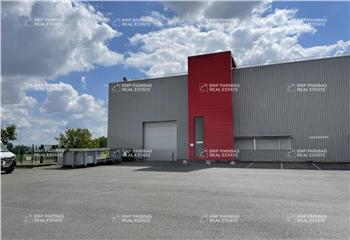 Location activité/entrepôt Blanquefort (33290) - 635 m²