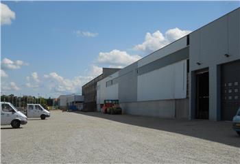 Location activité/entrepôt Bouxwiller (67330) - 10000 m² à Bouxwiller - 67330