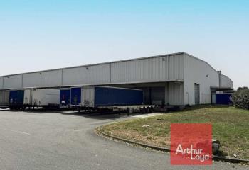 Location activité/entrepôt Bruguières (31150) - 5441 m² à Bruguières - 31150