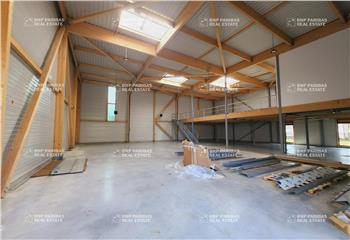 Location activité/entrepôt Chanteloup-en-Brie (77600) - 802 m² à Chanteloup-en-Brie - 77600