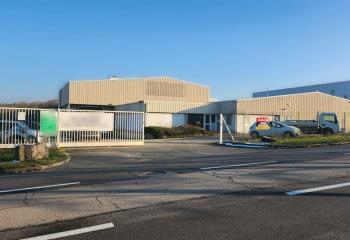 Location activité/entrepôt Chevigny-Saint-Sauveur (21800) - 1550 m² à Chevigny-Saint-Sauveur - 21800