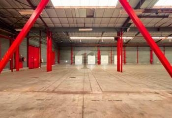 Location activité/entrepôt Douai (59500) - 10159 m² à Douai - 59500