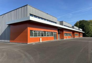 Location activité/entrepôt Eschau (67114) - 1086 m² à Eschau - 67114