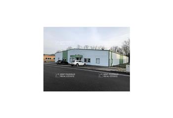 Location activité/entrepôt Geispolsheim (67118) - 1000 m² à Geispolsheim - 67118