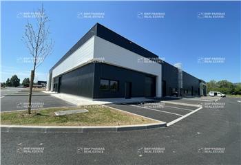 Location activité/entrepôt Goxwiller (67210) - 156 m² à Goxwiller - 67210