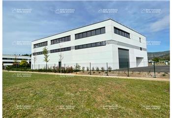 Location activité/entrepôt Grasse (06130) - 1717 m² à Grasse - 06130