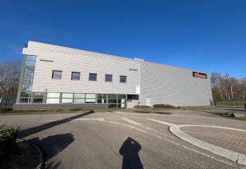 Location activité/entrepôt La Wantzenau (67610) - 1309 m² à La Wantzenau - 67610