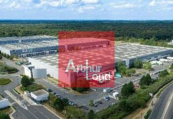 Location activité/entrepôt Lieusaint (77127) - 13120 m² à Lieusaint - 77127