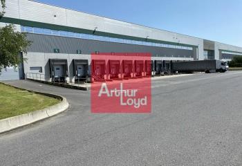 Location activité/entrepôt Moissy-Cramayel (77550) - 13824 m² à Moissy-Cramayel - 77550