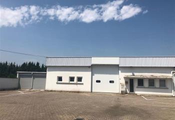 Location activité/entrepôt Mundolsheim (67450) - 685 m² à Mundolsheim - 67450