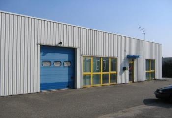 Location activité/entrepôt Mundolsheim (67450) - 200 m² à Mundolsheim - 67450