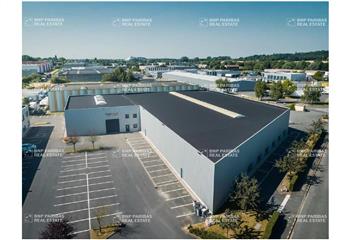 Location activité/entrepôt Roncq (59223) - 3142 m² à Roncq - 59223