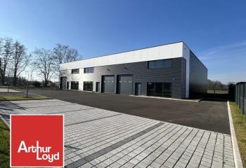 Location activité/entrepôt Souffelweyersheim (67460) - 392 m² à Souffelweyersheim - 67460