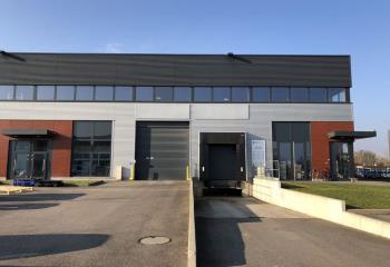 Location activité/entrepôt Strasbourg (67200) - 292 m² à Strasbourg - 67000