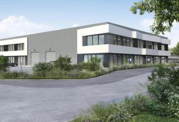 Location activité/entrepôt Tourcoing (59200) - 2609 m² à Tourcoing - 59200