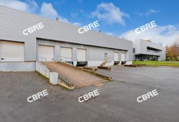 Location activité/entrepôt Wissous (91320) - 8047 m² à Wissous - 91320