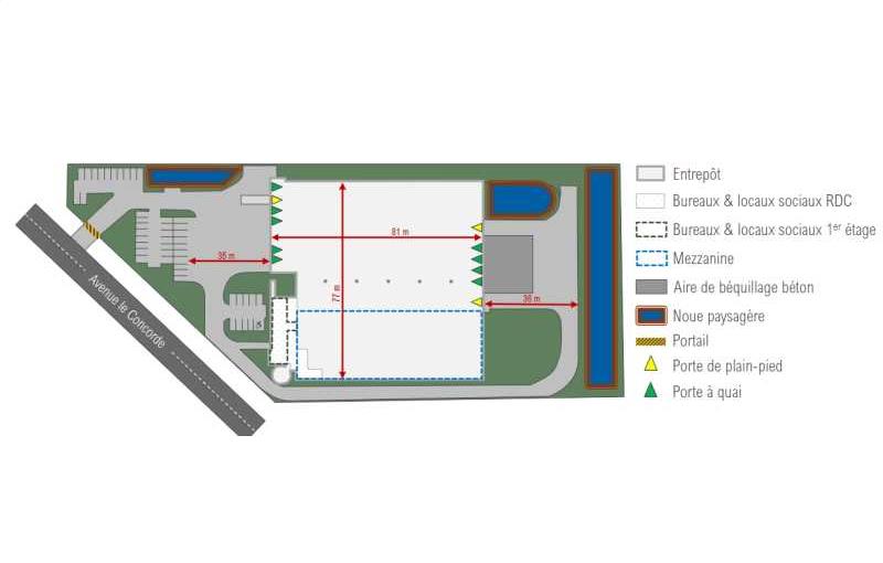Location d'entrepôt de 6 190 m² à Wissous - 91320 plan - 1