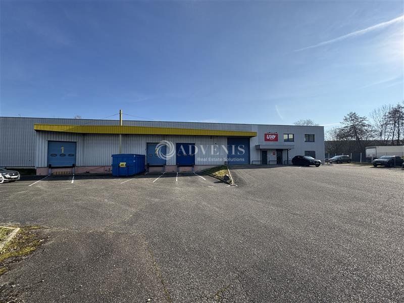 Forlen Entrepôt avec quais à louer Geispolsheim - Zone Industrielle Forlen ...