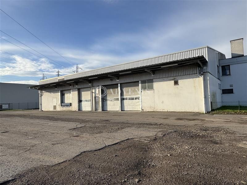 Forlen Entrepôt à louer Geispolsheim - Zone Industrielle Forlen - Geolocaux