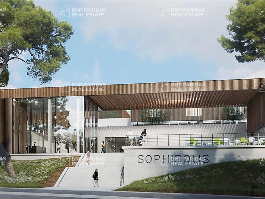 Location Bureaux 5305 m² divisibles 06220 Vallauris