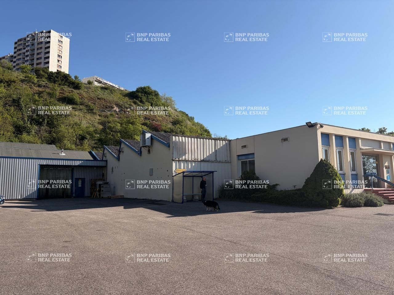 Vente Activité 2300 m² non divisibles 69140 Rillieux-la-pape