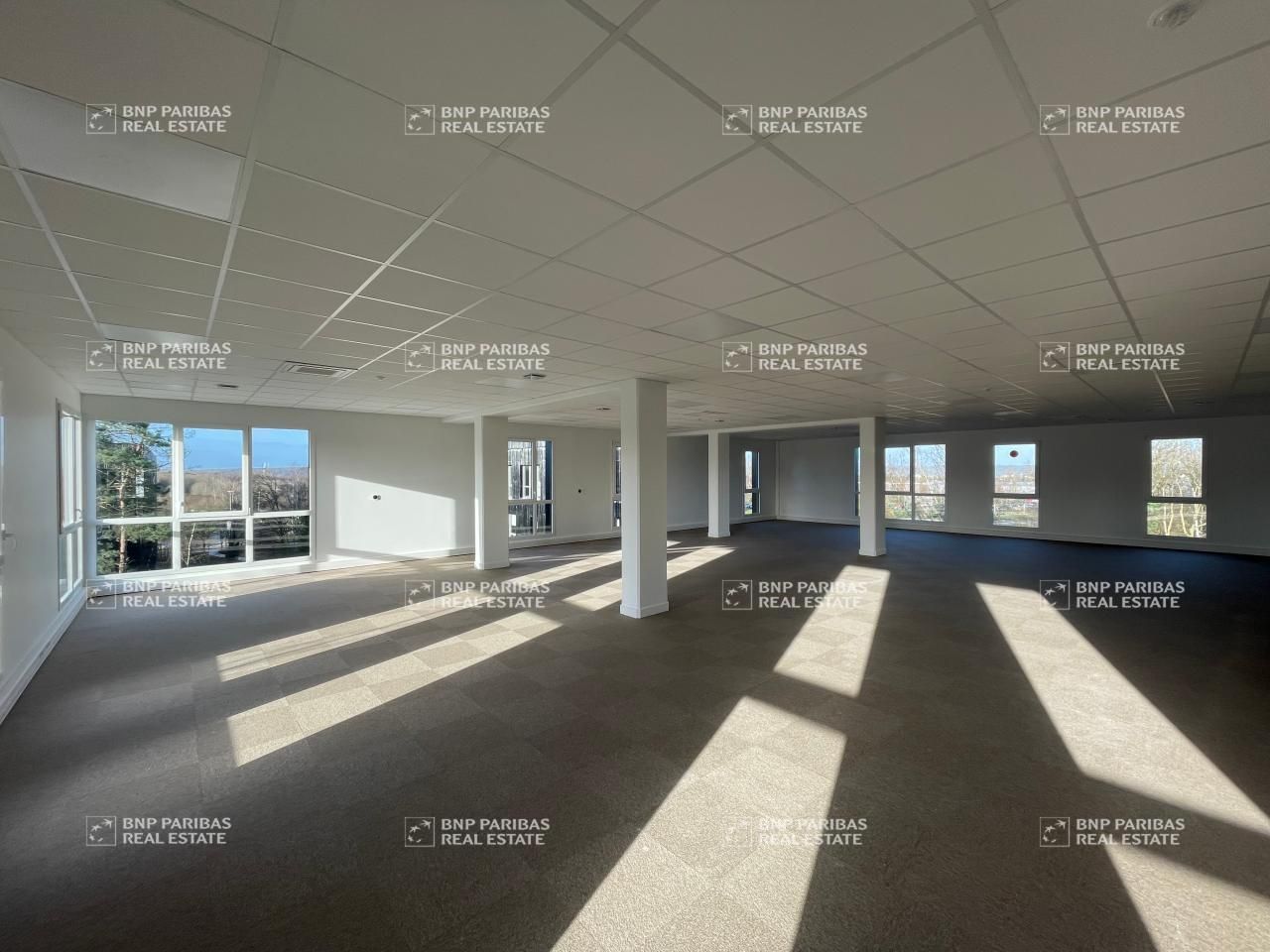 232.76 m² pour ce bureaux en location à Petit-couronne