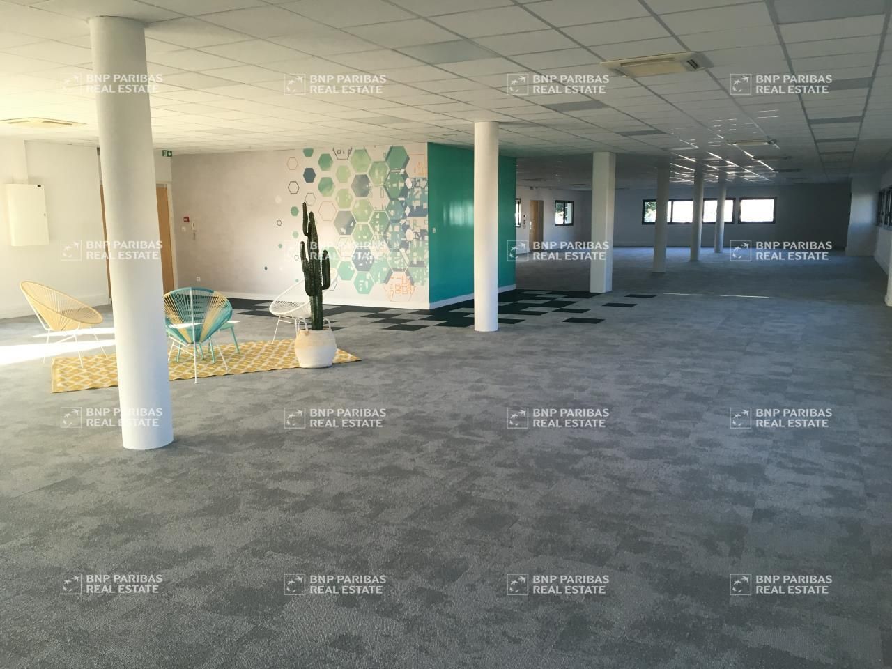 2944 m² pour ce bureaux en location à Blagnac