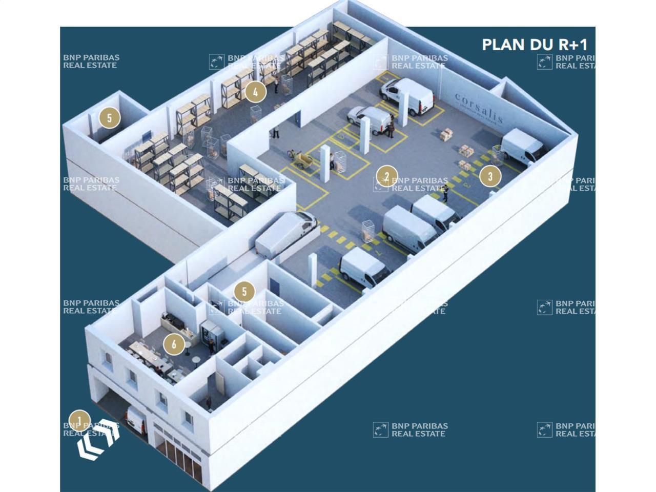 Location activité à Marseille 13007