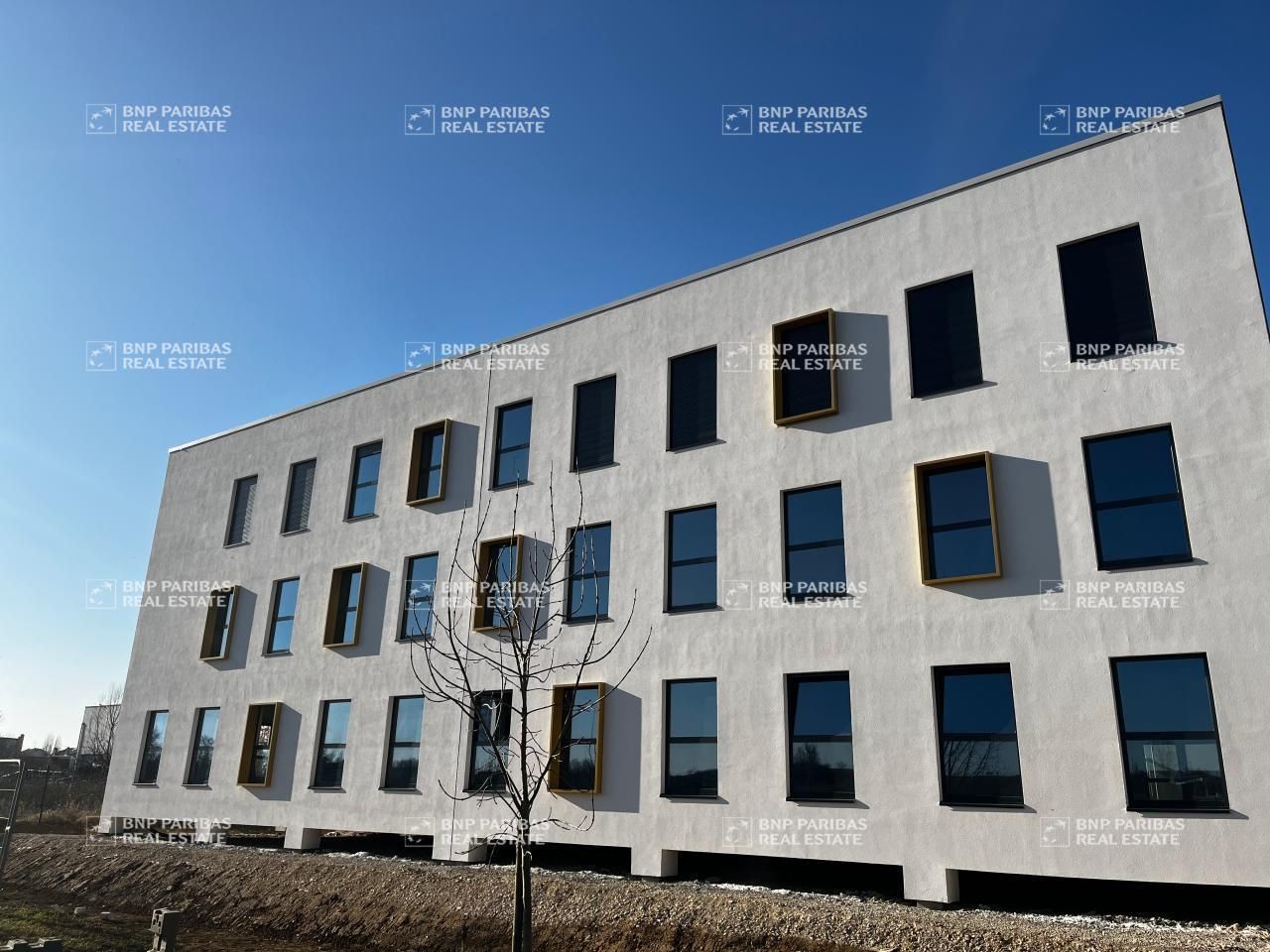 250 m² pour ce bureaux en location à Essey-lès-nancy
