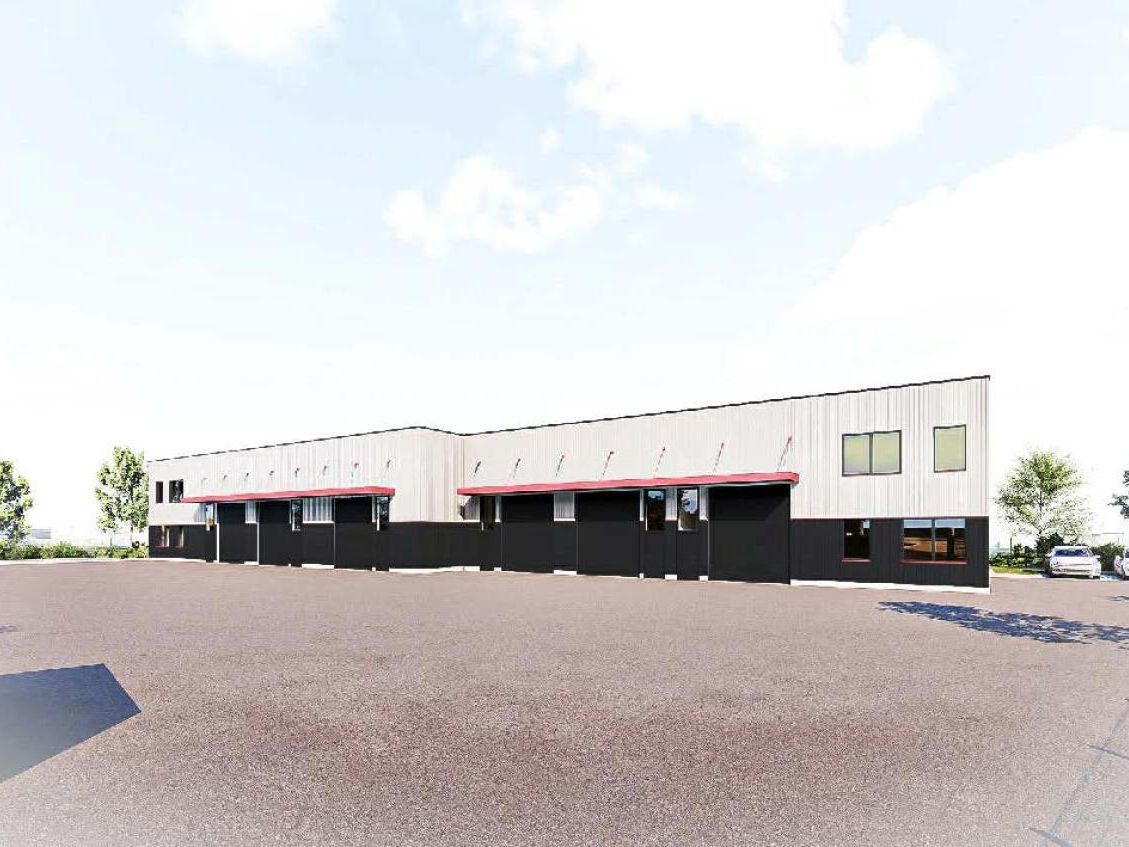 Vente Activité 463.43 m² divisibles 01480 Savigneux