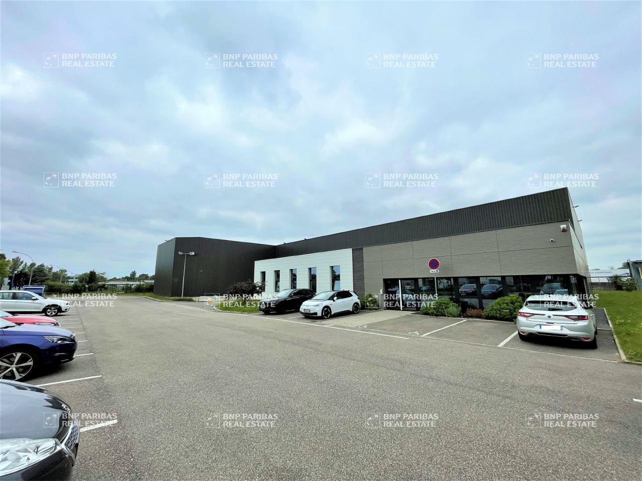 Vente Activité 2141 m² non divisibles 67116 Reichstett