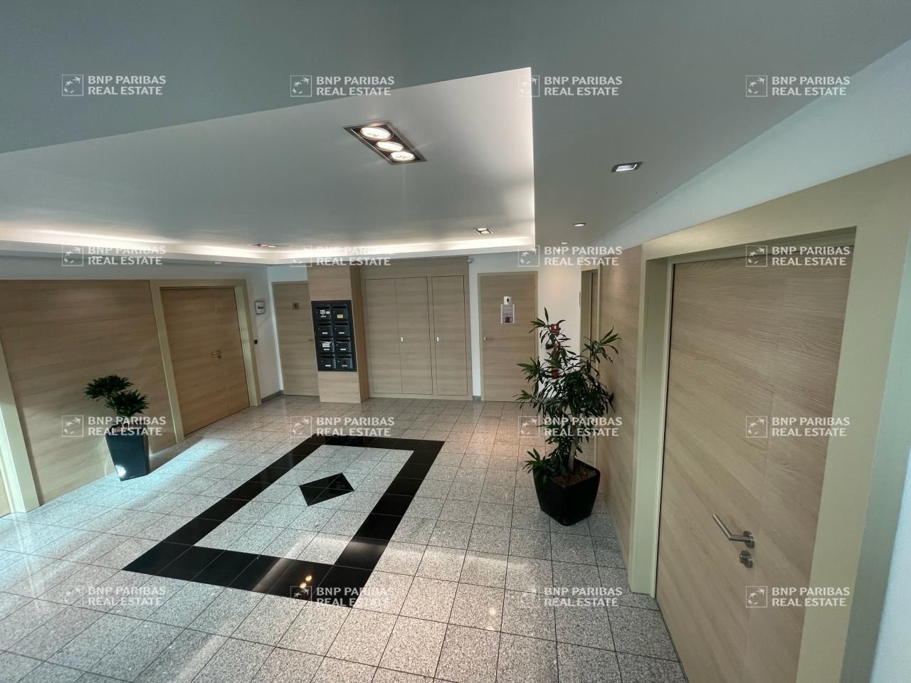 Location bureaux à Schiltigheim 67300