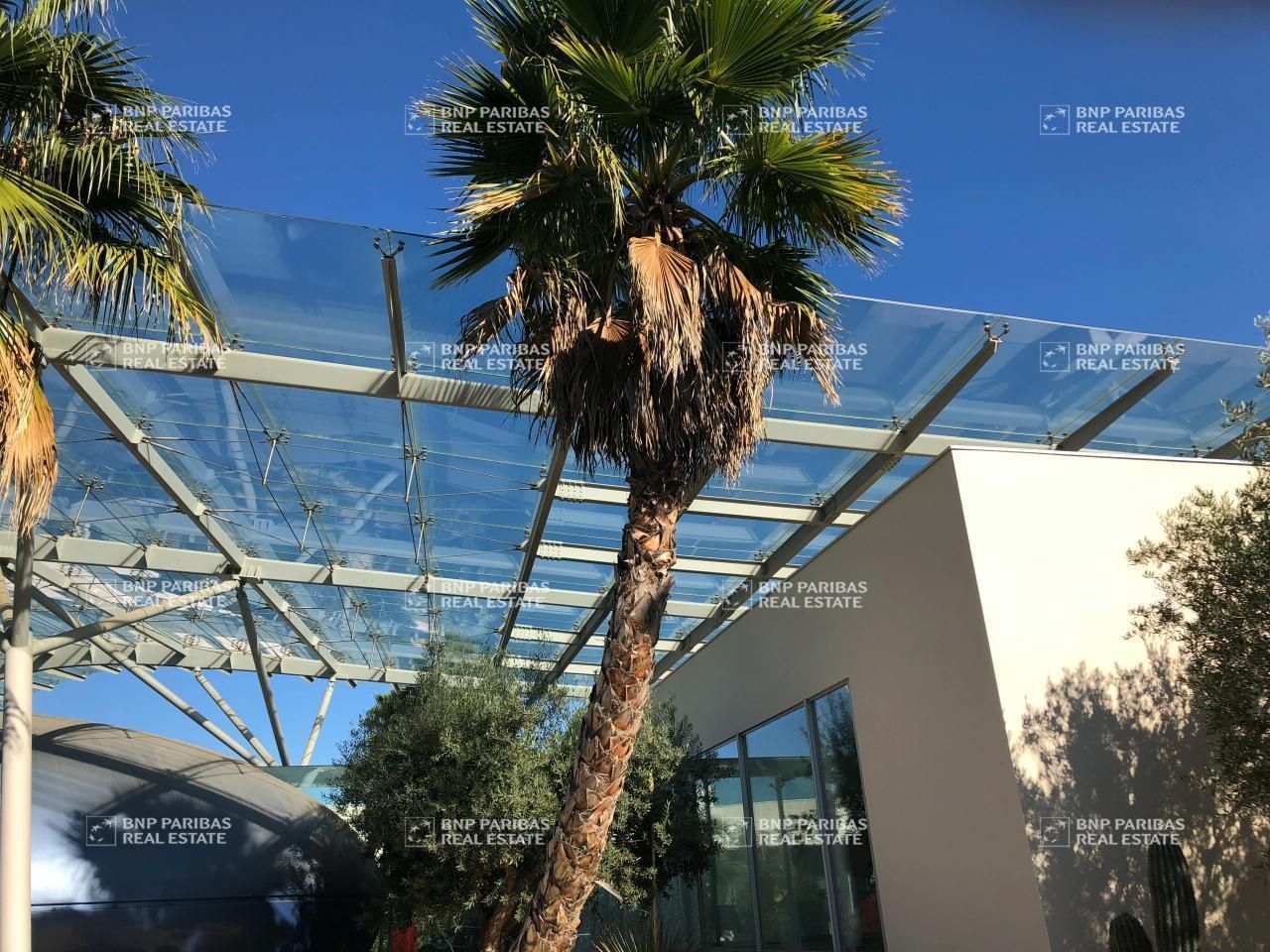 Location Bureaux 724.51 m² non divisibles 34130 Mauguio