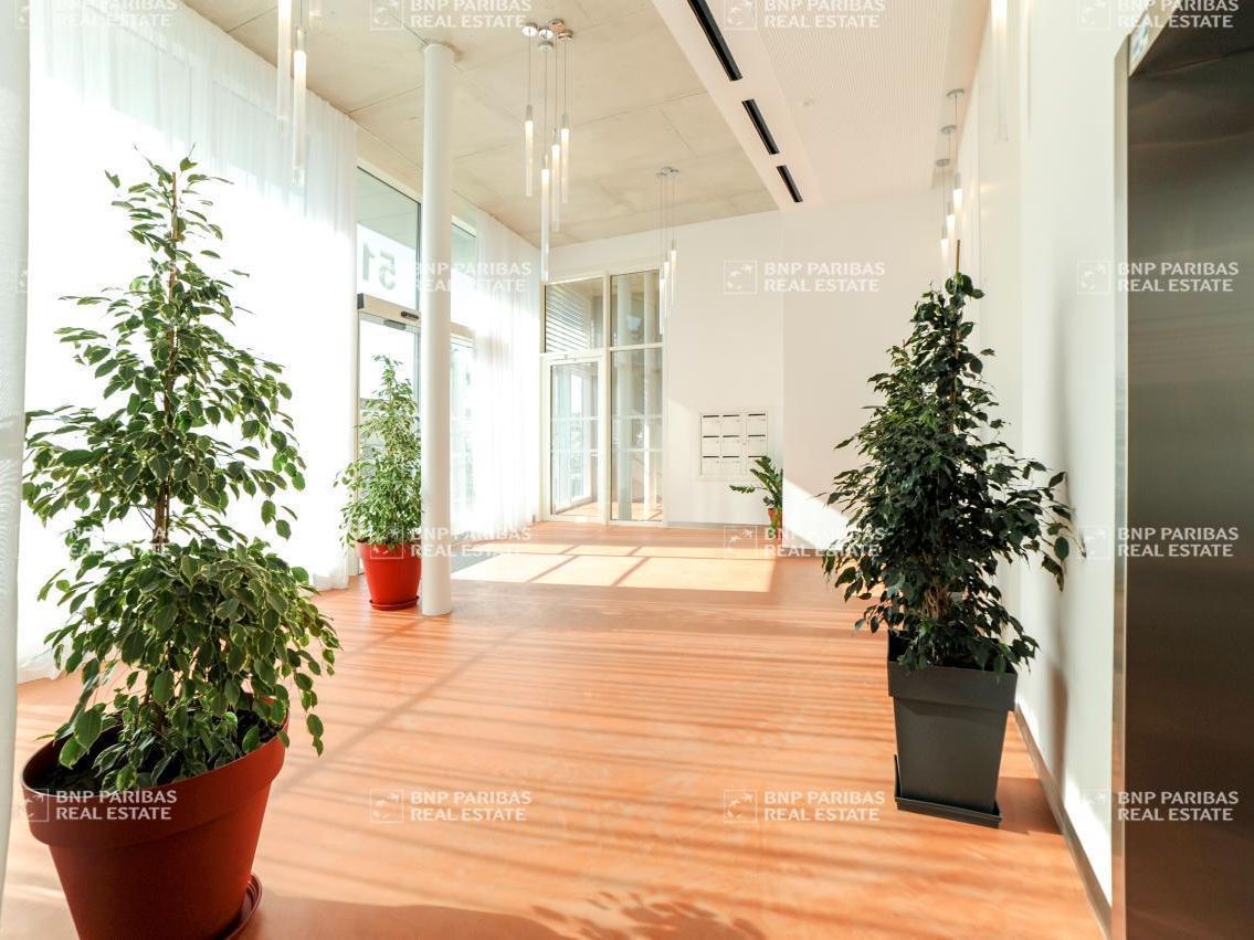 Location bureaux à Nice 06200