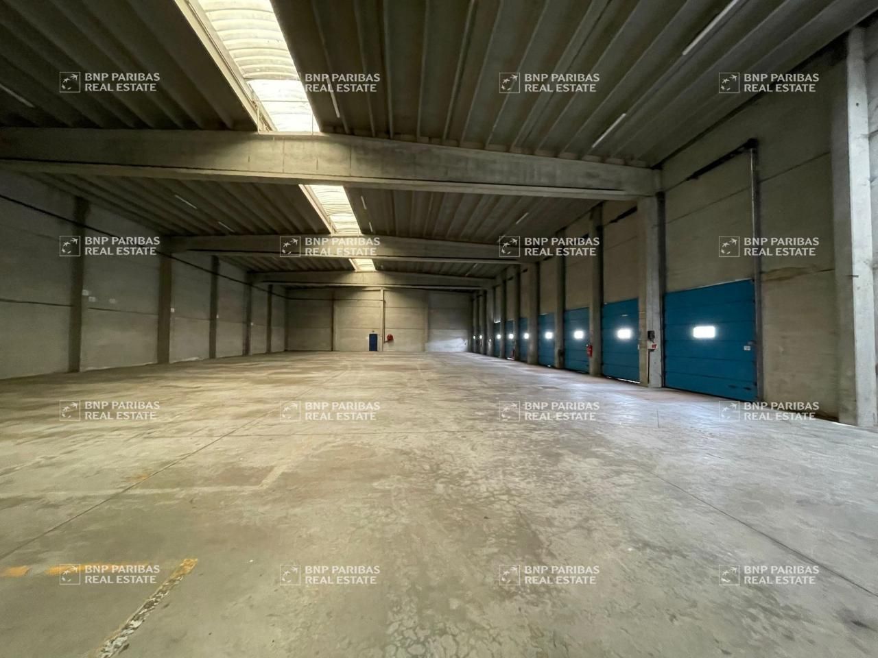 Vente Activité 2500 m² non divisibles 59223 Roncq