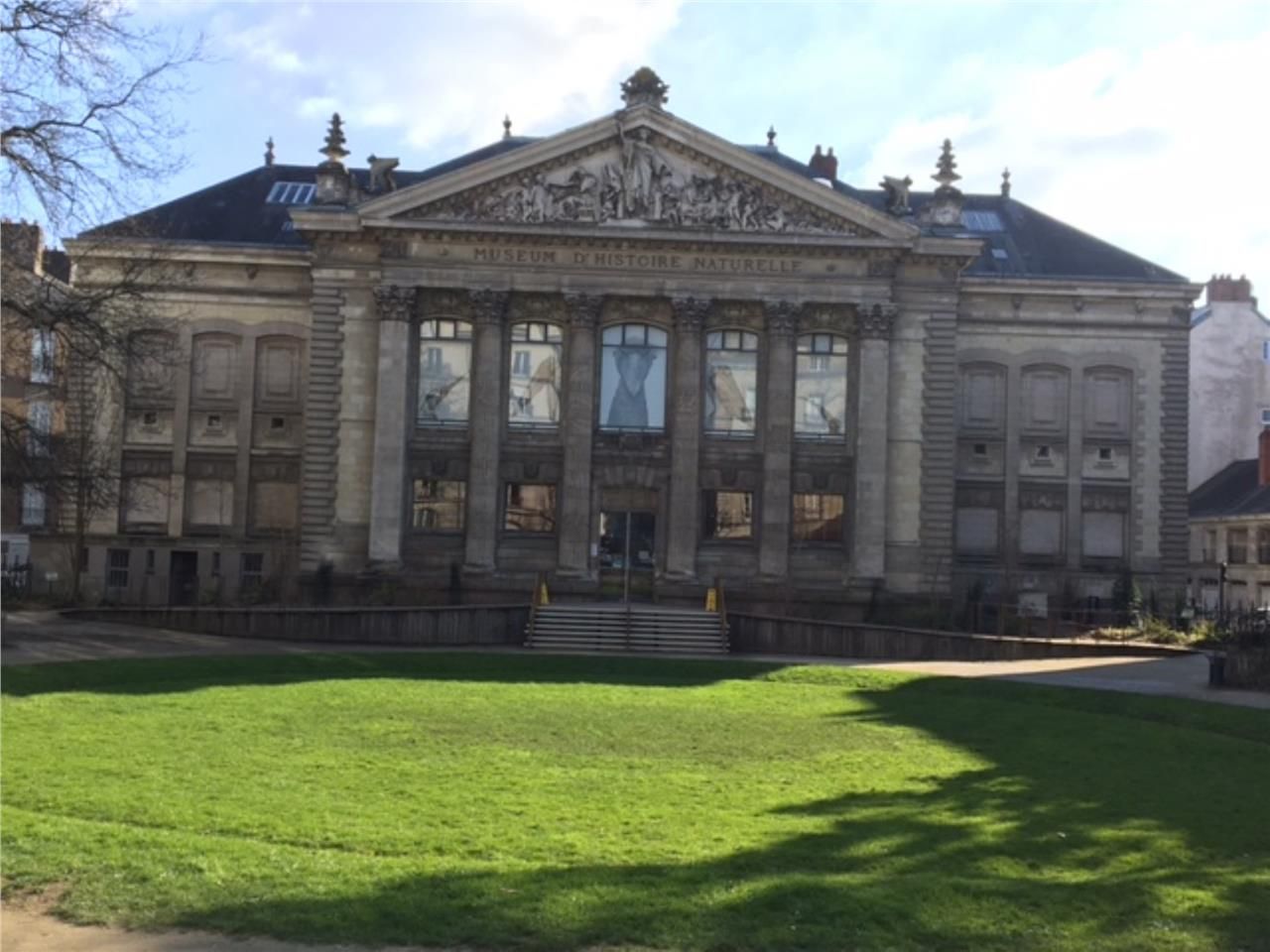 Local commercial, à louer, avec beau linéaire vit