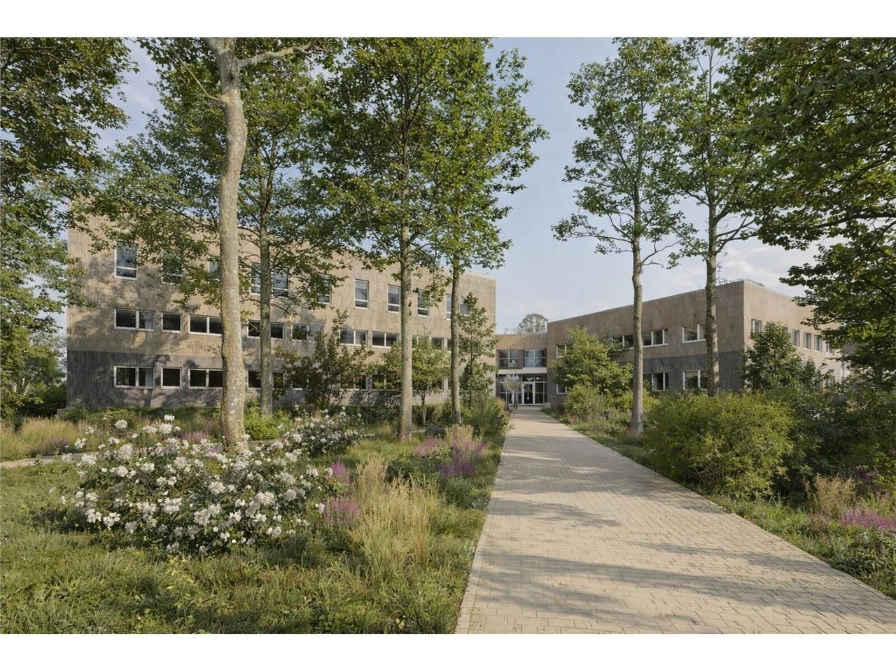 Nous vous proposons à la vente plusieurs surfaces