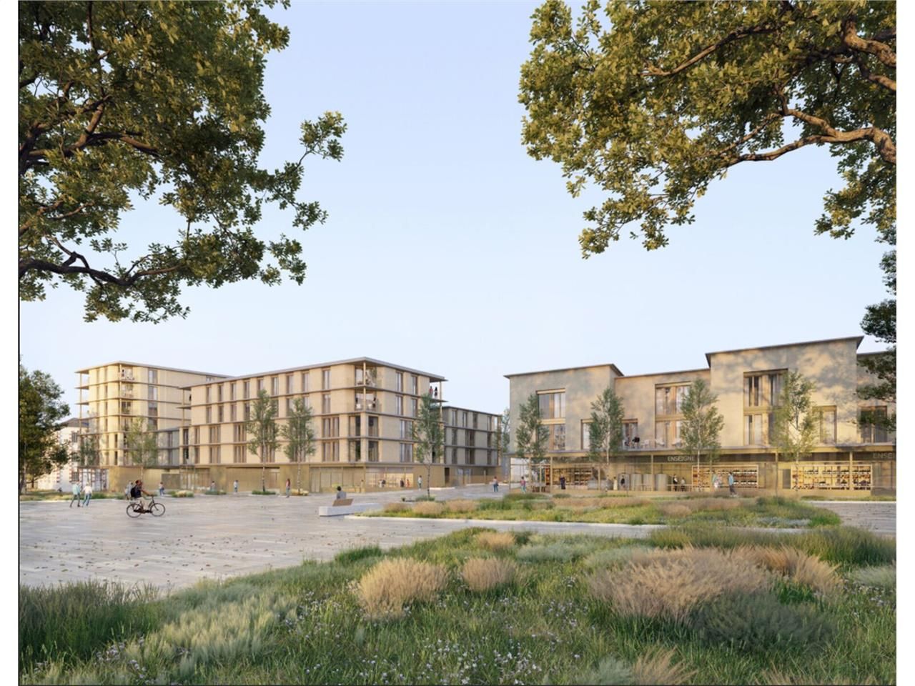 Cellules commerciales livrées brut de béton fluid