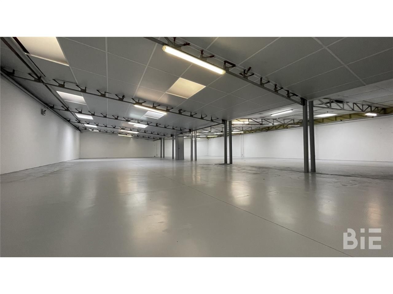 Nous vous proposons ce site bénéficiant d'une pla