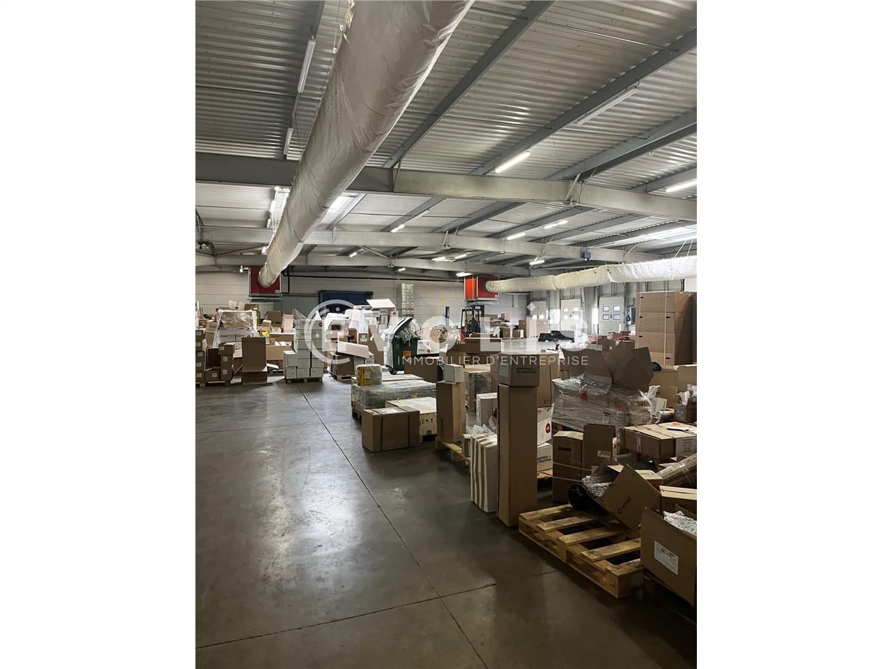 Locaux Froid de 10 235 m², divisible à partir de 