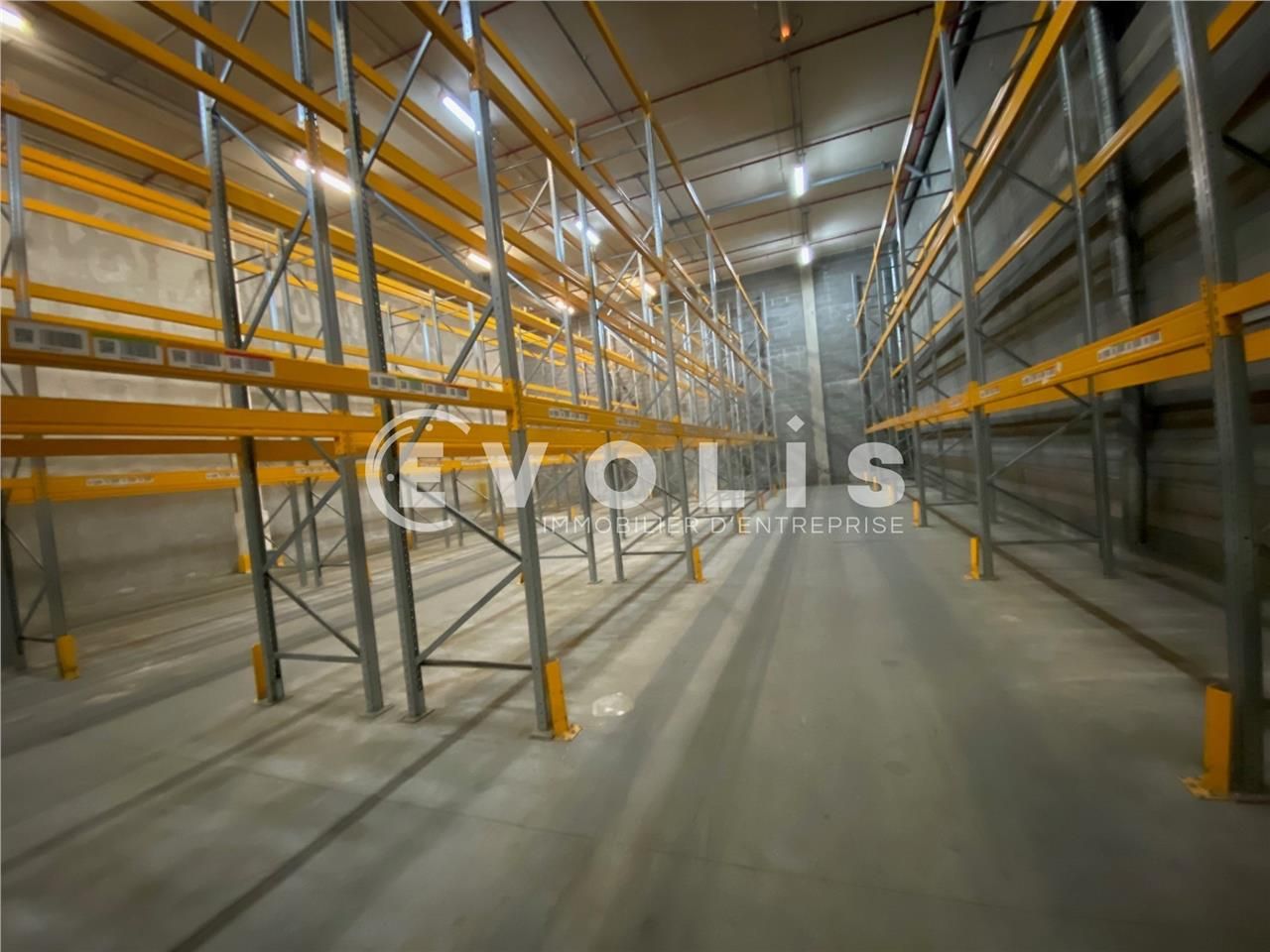 VENTE - LOCAL D'ACTIVITE - 4 159 m²   Evolis Amie