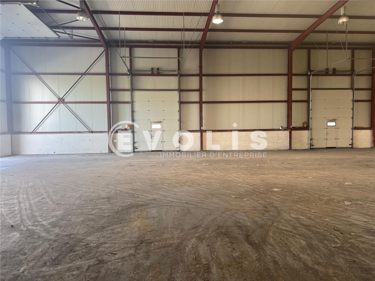 LOCATION - LOCAL D'ACTIVITE - 750 m²  Evolis Amie