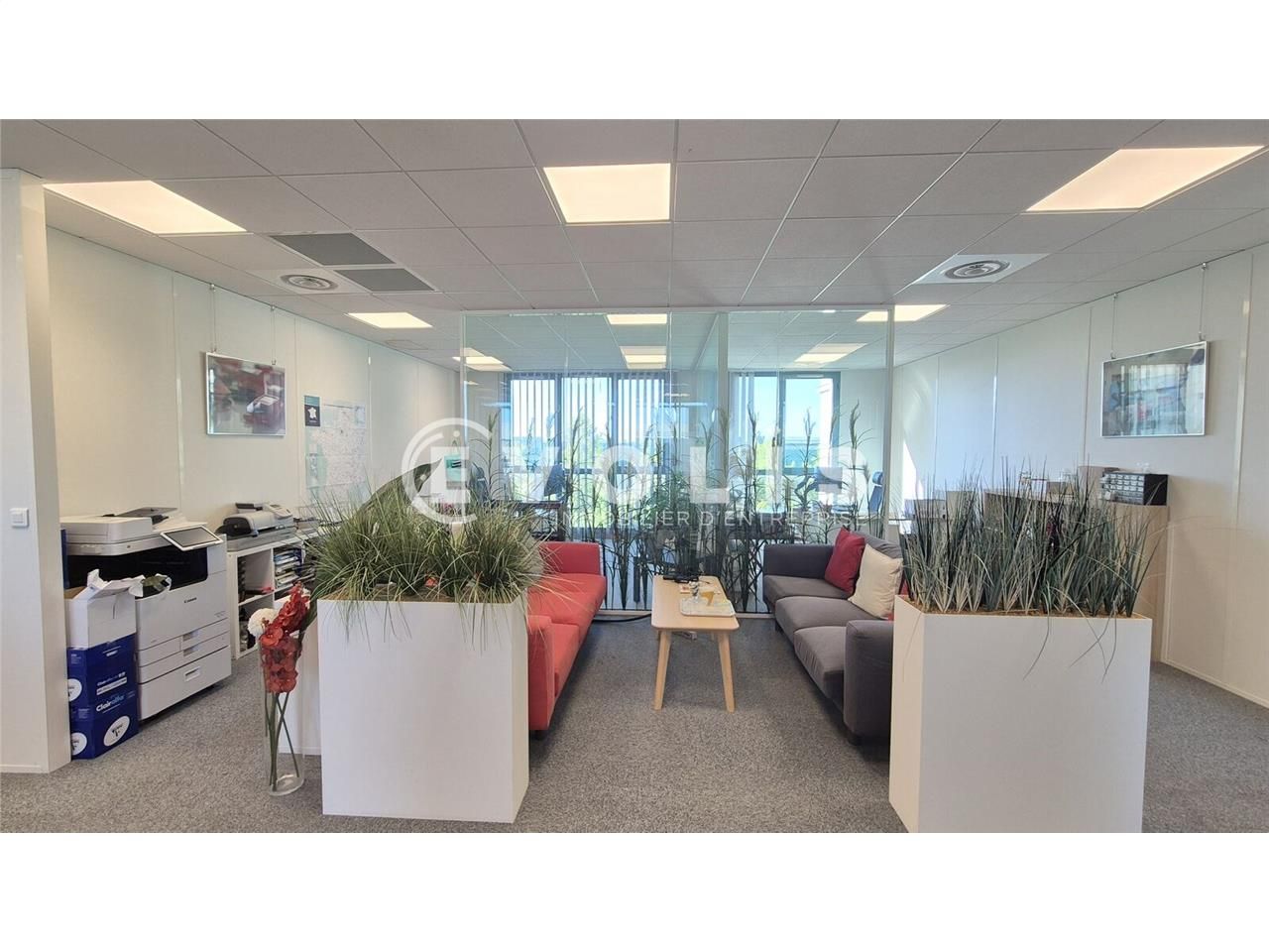 A LOUER -  A VENDRE - SERRIS (77) - 245 m² DE BUR