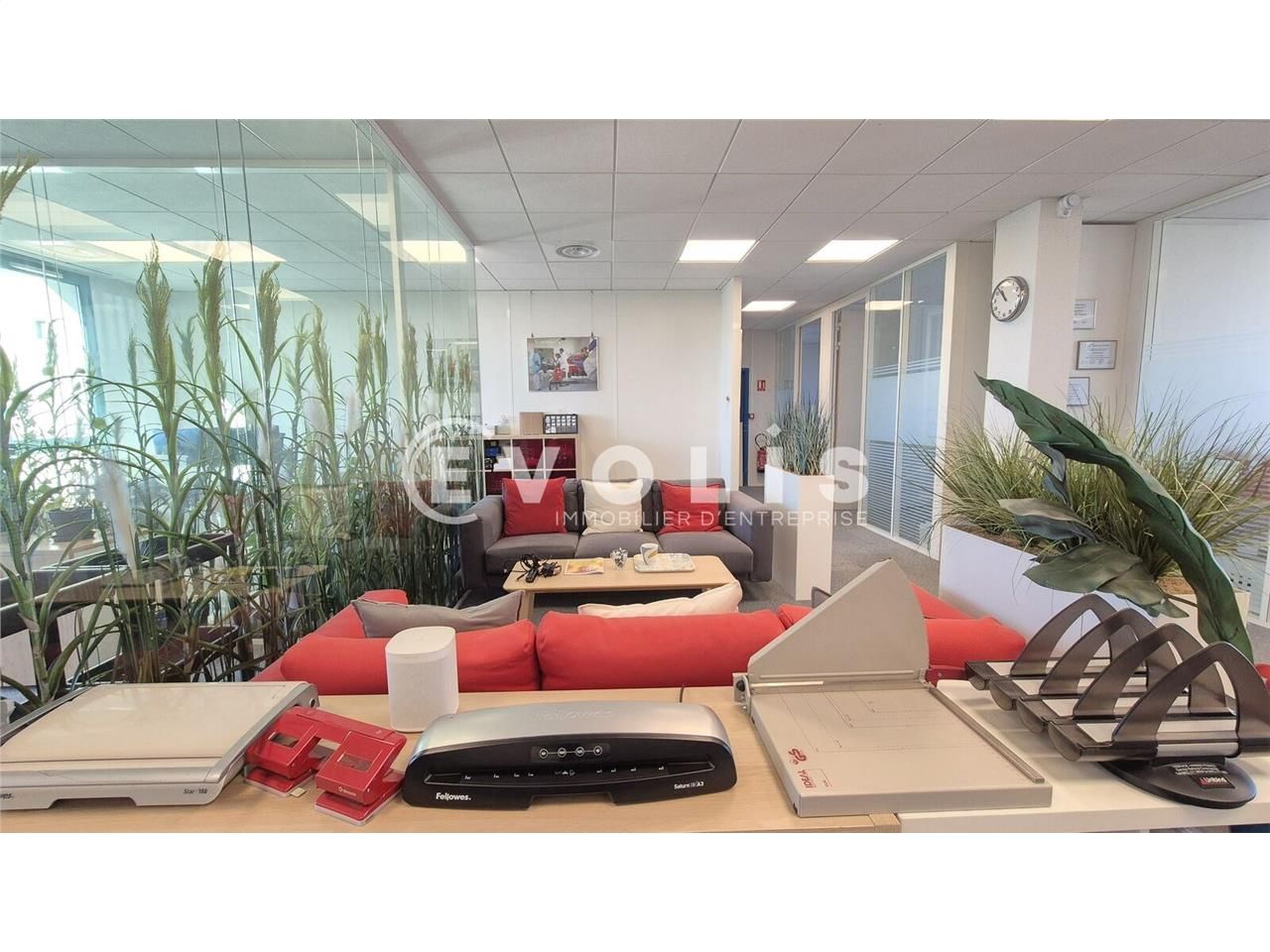 A LOUER -  A VENDRE - SERRIS (77) - 245 m² DE BUR